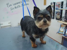 Bilder Neu 14.03.2013 085.JPG