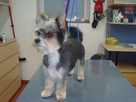 Bilder Neu 14.03.2013 194.JPG