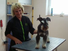 Bilder Neu 16.09.2012 426.JPG