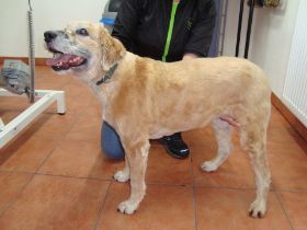 Bilder Neu 16.12.2012 177.JPG