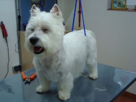 Bilder Neu 17.02.2013 015.JPG
