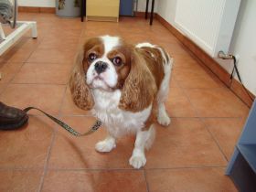Bilder Neu 17.02.2013 102.JPG