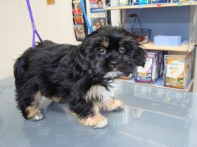 Bilder Neu 17.02.2013 177.JPG