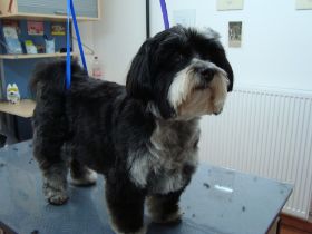 Bilder Neu 17.02.2013 181.JPG