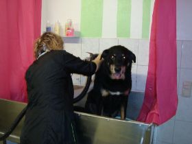 Bilder Neu 17.02.2013 196.JPG