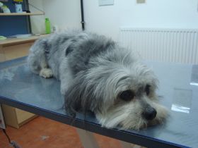 Bilder Neu 18.04.2013 023.JPG