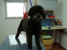 Bilder neu 22.11.2012 004.JPG