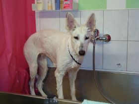 Bilder Neu 25.11.2012 003.JPG